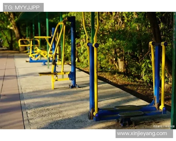 公园健身器材的多样选择与使用技巧分享让你轻松享受健康生活